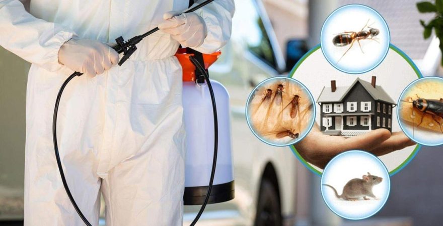 Mithatpaşa Böcek İlaçlama