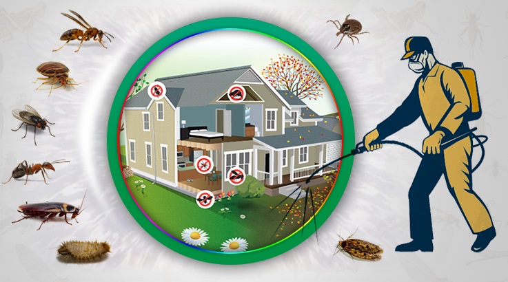 Mithatpaşa Böcek İlaçlama