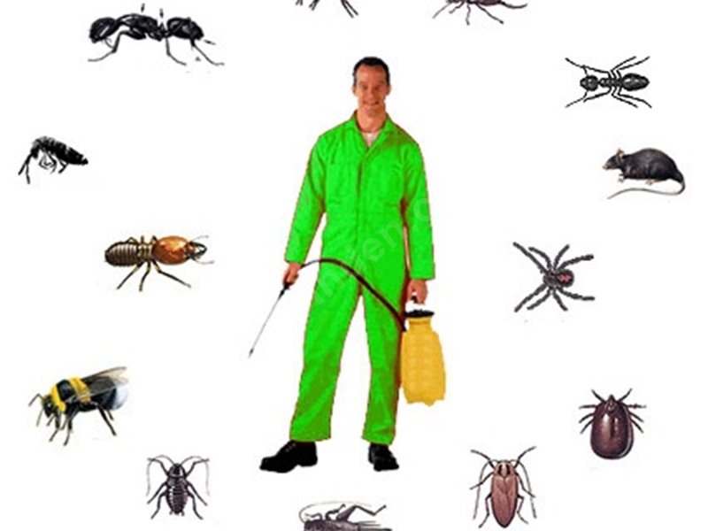 Mithatpaşa Böcek İlaçlama